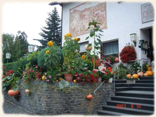 Gasthof Zur Romervilla Mehring  Dış mekan fotoğraf